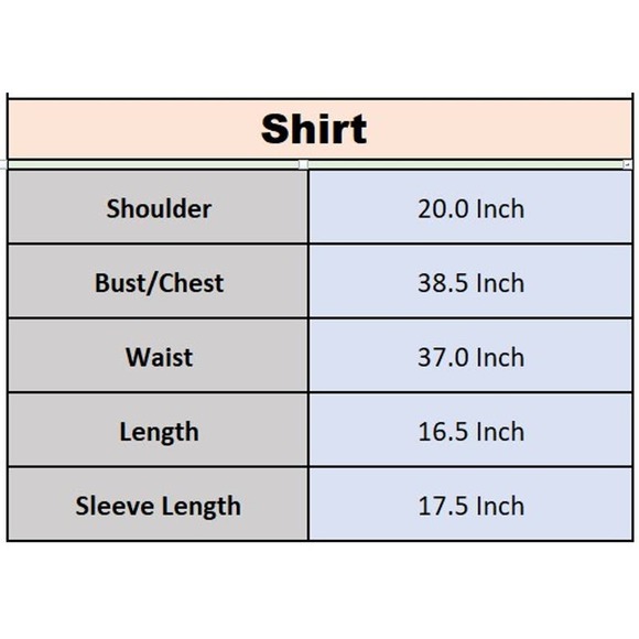 Blue Leopard Print Crop Top with Sheer Lace Sleeves - Picture 4 of 4